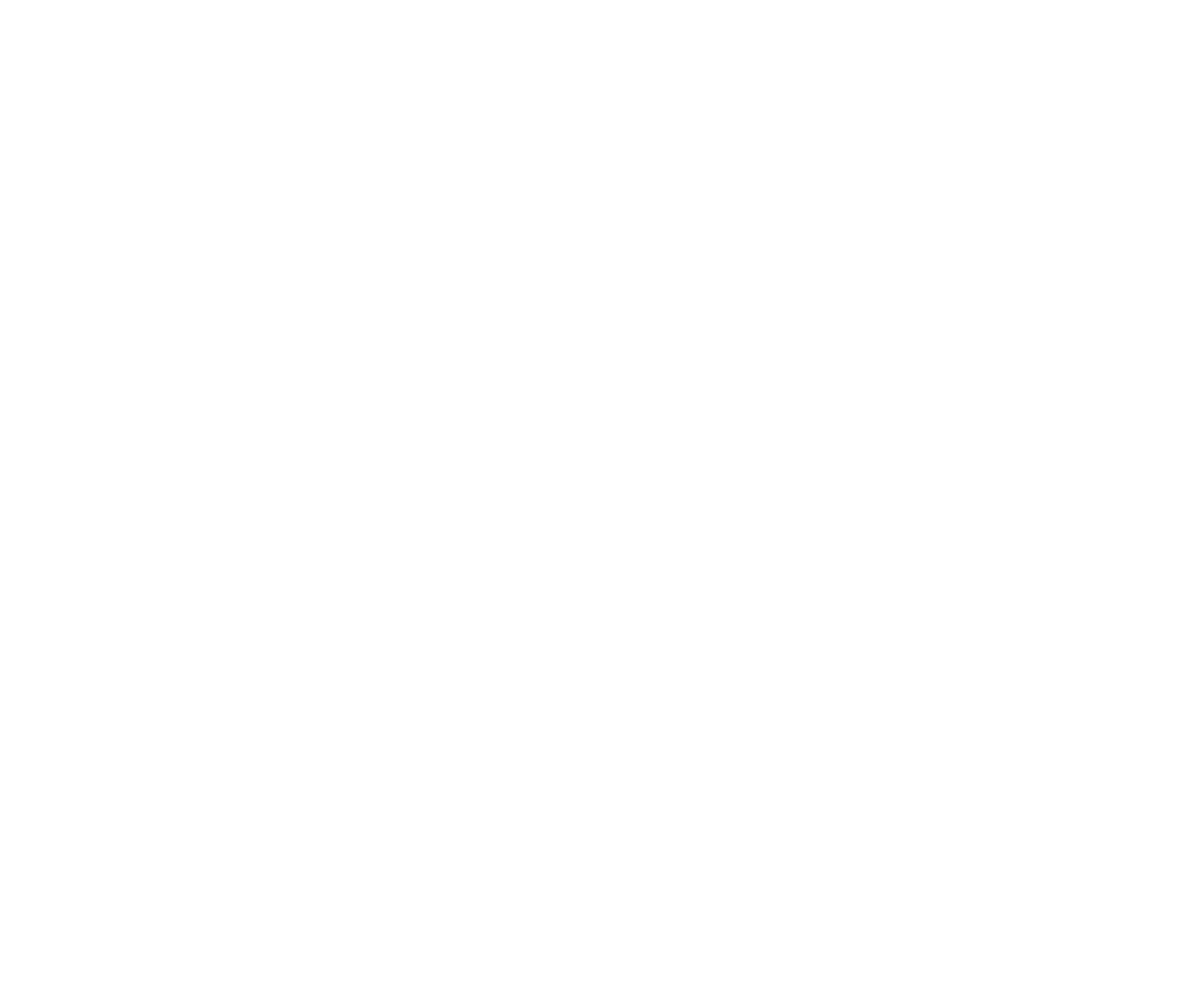 Village Property Collective